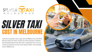 Silver Taxi
